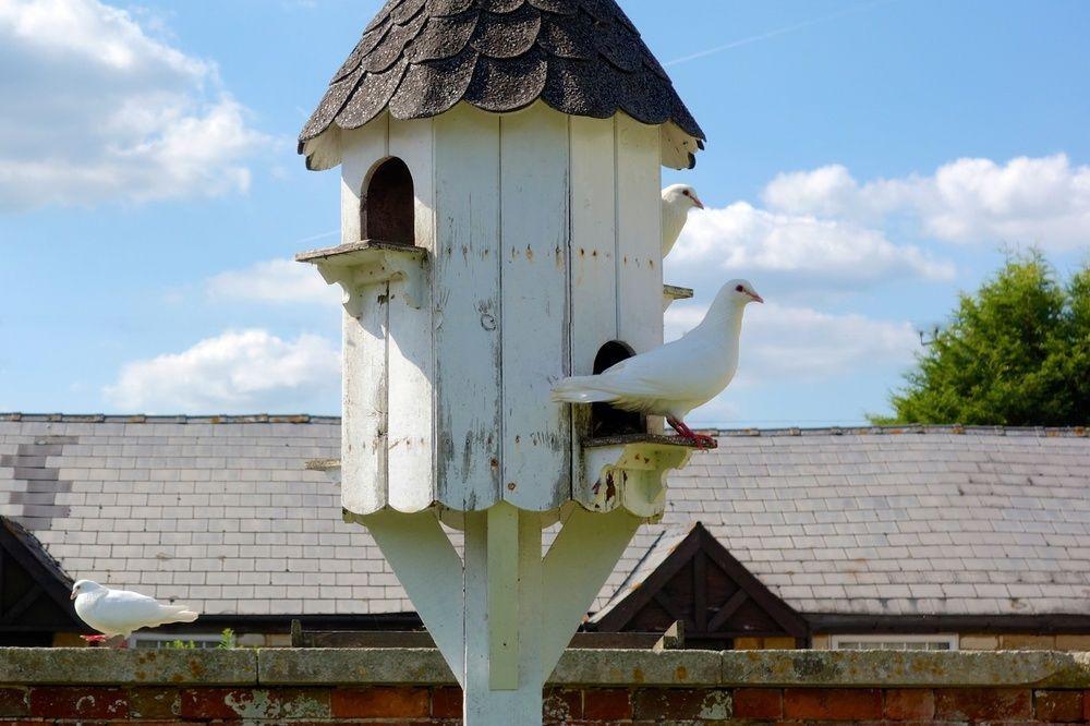 Widbrook Grange Guest House Bradford-On-Avon Екстериор снимка